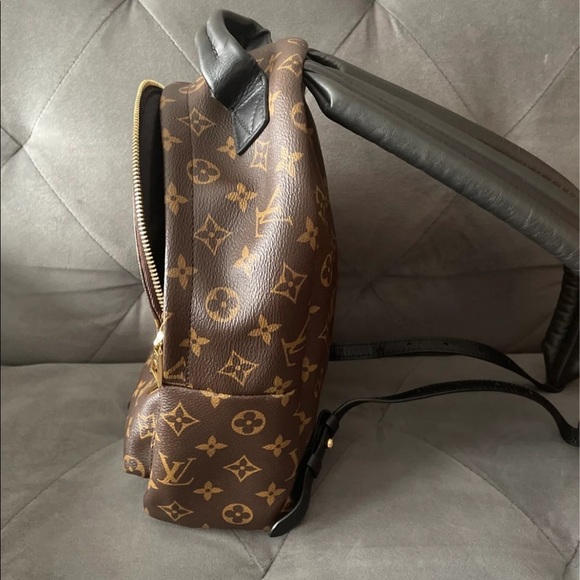 Louis Vuitton PALM SPRING Monogram PM size main image 16